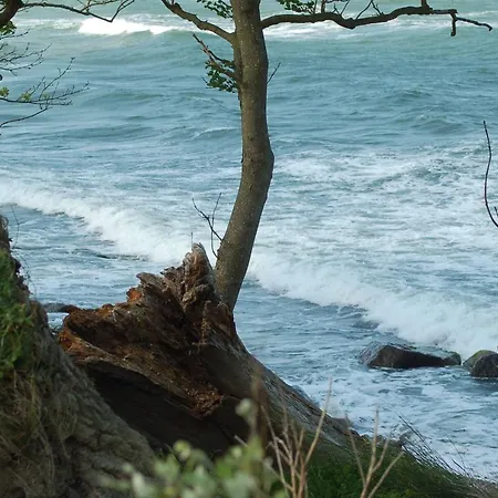 Ferienbauernhof Liesenberg Obstwiesenhaus Kischbaum Prázdninový dům Fehmarn