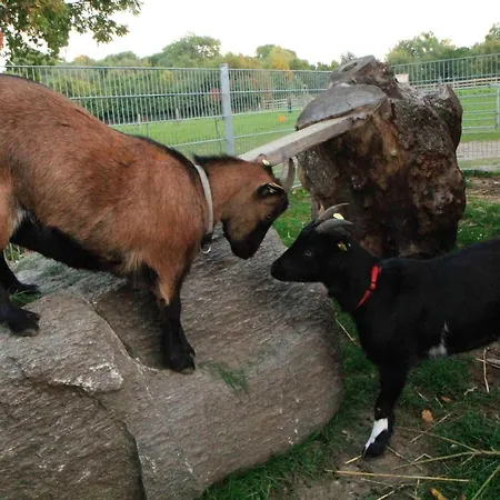 Ferienbauernhof Liesenberg Obstwiesenhaus Kischbaum Fehmarn
