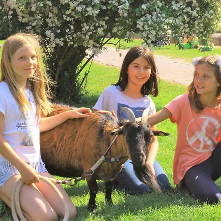 Feriehus Ferienbauernhof Liesenberg Obstwiesenhaus Kischbaum Femern