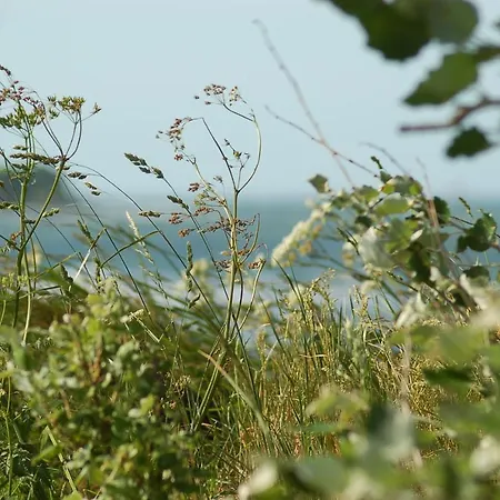 Ferienbauernhof Liesenberg Obstwiesenhaus Kischbaum *