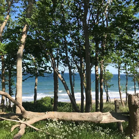 Ferienbauernhof Liesenberg Obstwiesenhaus Kischbaum *