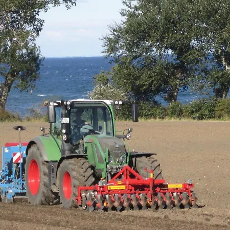 Feriehus Ferienbauernhof Liesenberg Obstwiesenhaus Kischbaum *