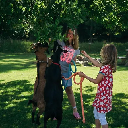 Ferienbauernhof Liesenberg Obstwiesenhaus Kischbaum * Fehmarn