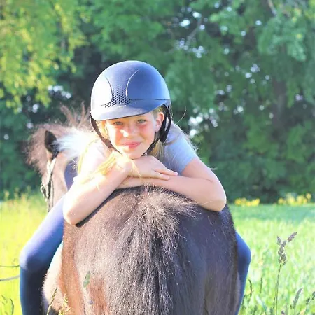 Prázdninový dům Ferienbauernhof Liesenberg Obstwiesenhaus Kischbaum *