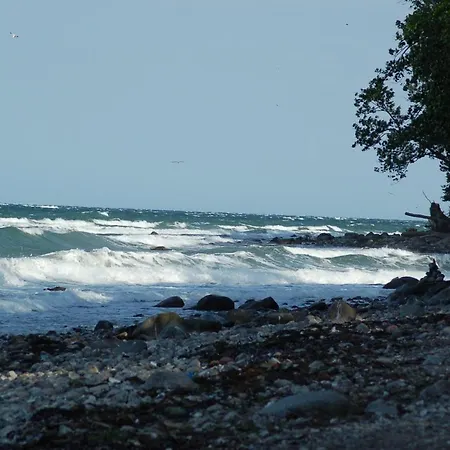 Ferienbauernhof Liesenberg Obstwiesenhaus Kischbaum *