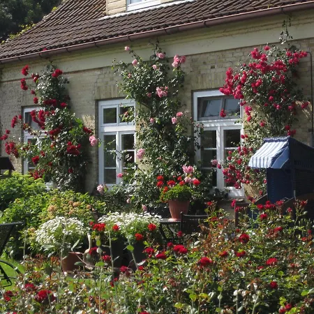 بيت للعطل Ferienbauernhof Liesenberg Obstwiesenhaus Kischbaum