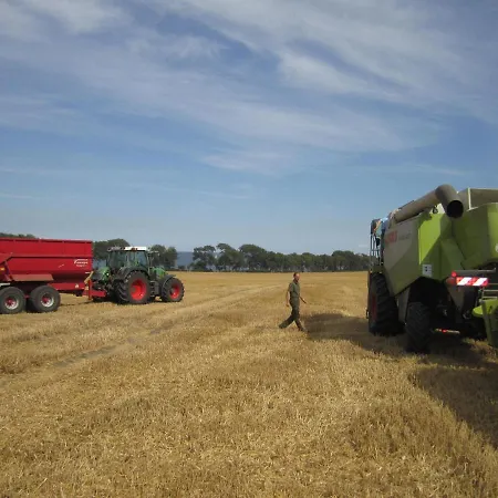 Ferienbauernhof Liesenberg Obstwiesenhaus Kischbaum * Fehmarn